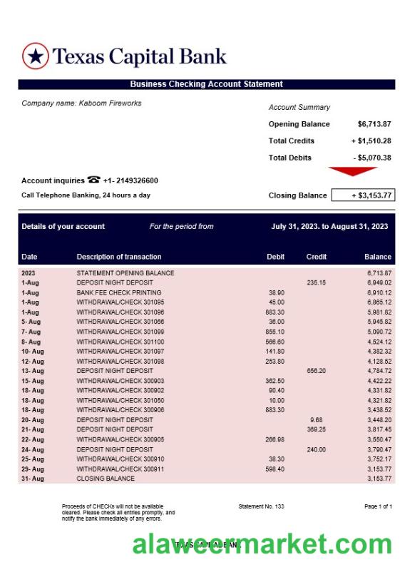 Texas Capital Bank company account statement Word and PDF template